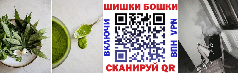 закладка  Мезень  Canna-Cookies конопля 