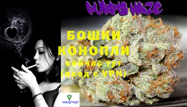 молекула духа Богданович