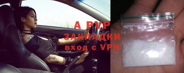 PSILOCYBIN Богородск