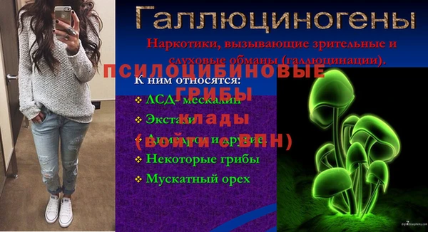 PSILOCYBIN Богородск