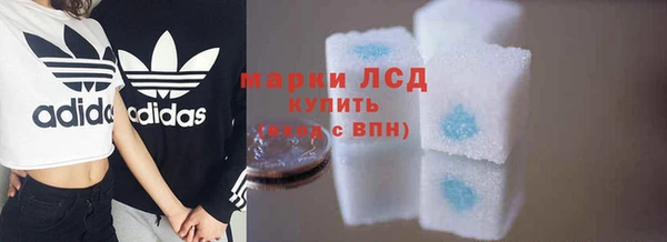 молекула духа Богданович