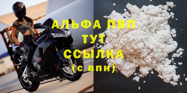 молекула духа Богданович