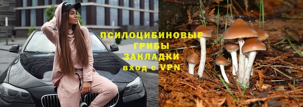 прущая мука Беломорск