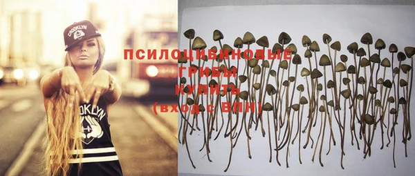 прущая мука Беломорск