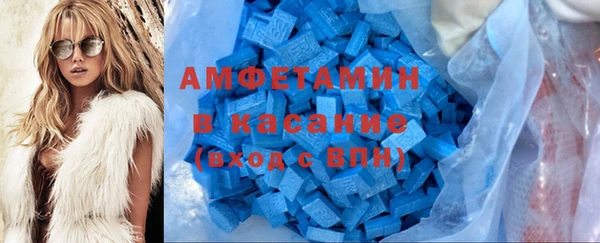 молекула духа Богданович