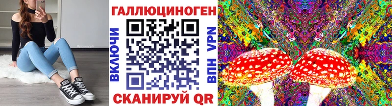 МЕГА сайт  Мезень  Псилоцибиновые грибы Cubensis 
